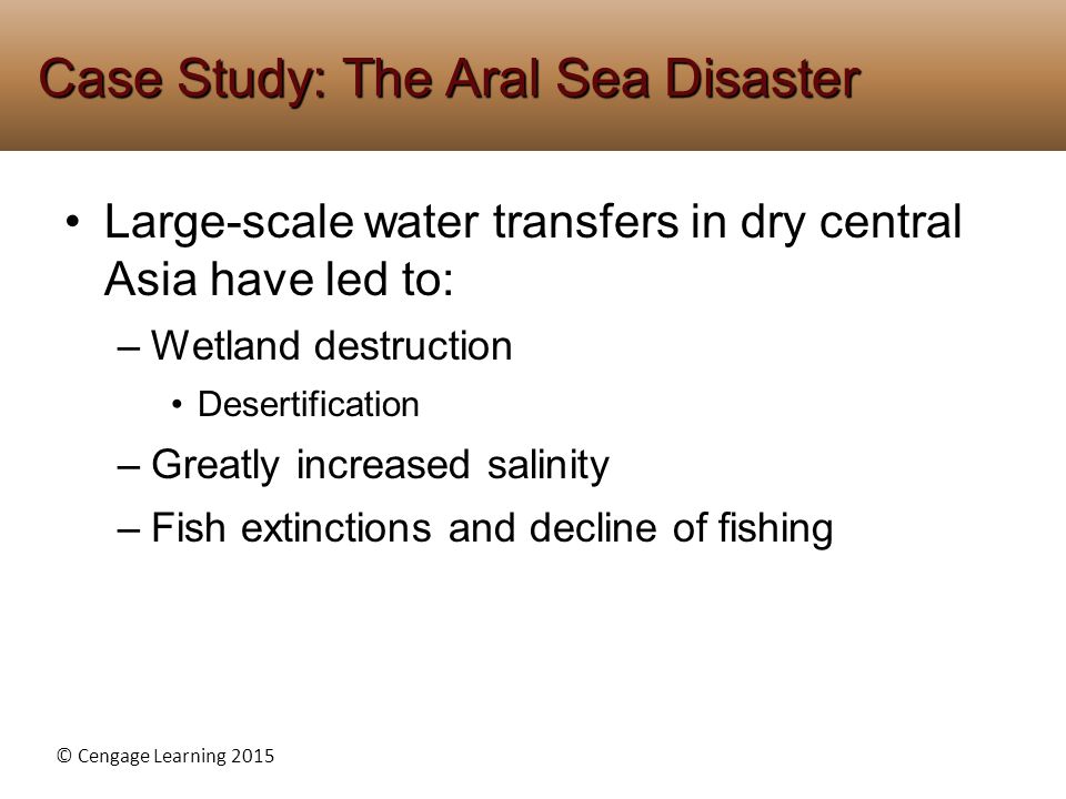 Aral Sea Term paper